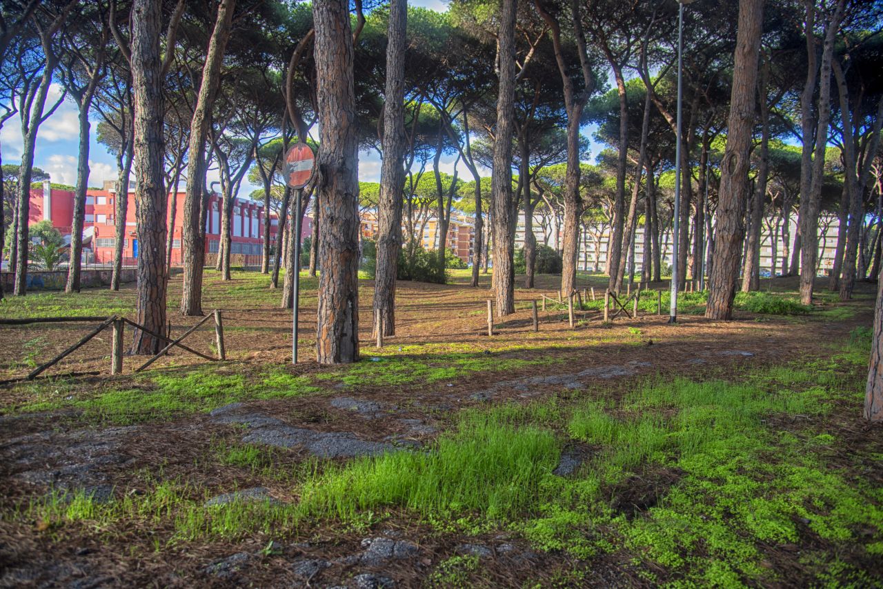 Viale Ernesto Orrei, la strada che non si arrende